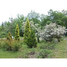 Три спроби утворення ботанічного саду в Катеринославі-Дніпропетровську
