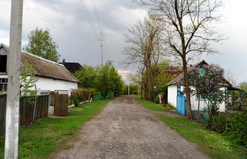 Степанівка: з минулого сучасність пророста