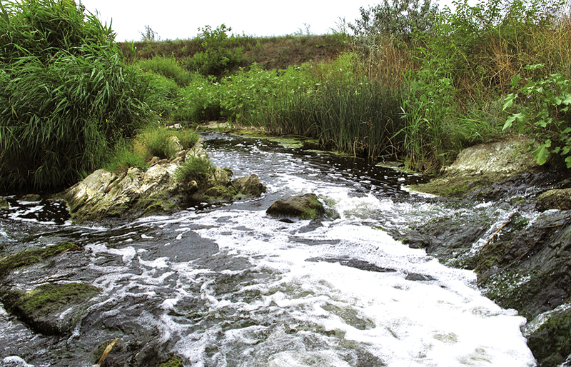 Річка Гайчур – ландшафтний заказник Покровського краю!