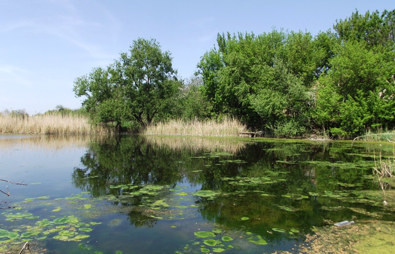 Жовтоводські легенди