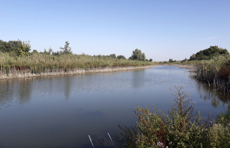 Озеро «Довге» на Приоріллі