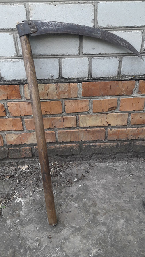 Скісок, фото В. Пономаренко, 2025