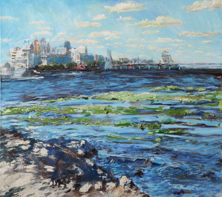 «Вид з Монастирського острова на Дніпро», В. Назаренко.– https://www.facebook.com/photo/?fbid=25078928705077348&set=a.160199684043595