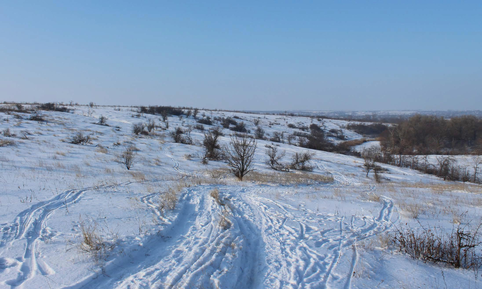 Взимку 24.01.2016 р.
