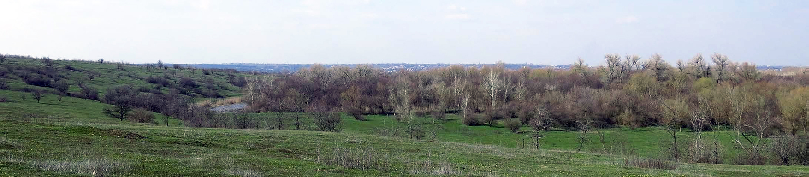 Весна на острові 2015 р.