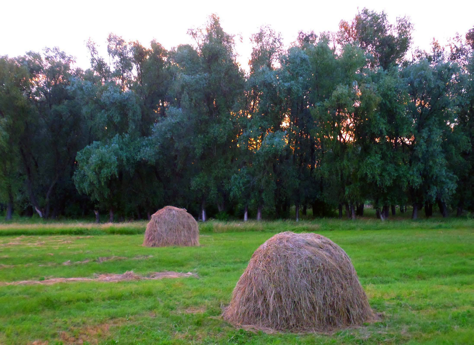 Копиці сіна 02.06.2014 р.