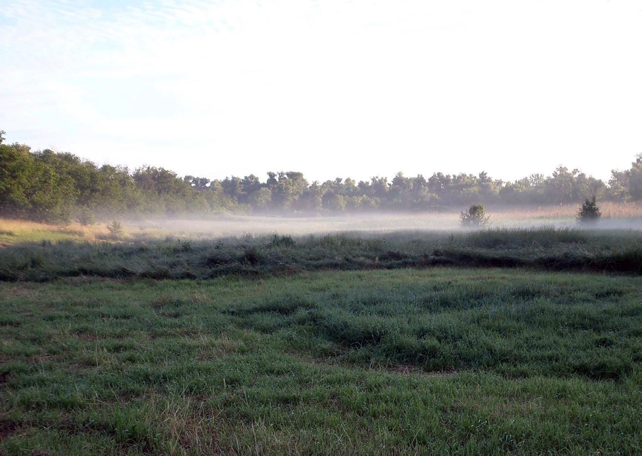 Місцевість, де знаходилось озеро «Кругле». 12.06.2014 р.