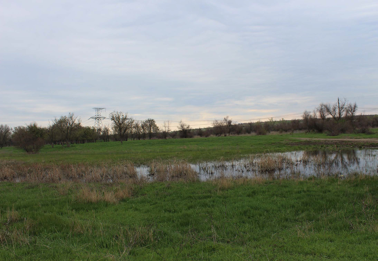 Приблизно тут була стара пристань порому. 16.4.2017 р.