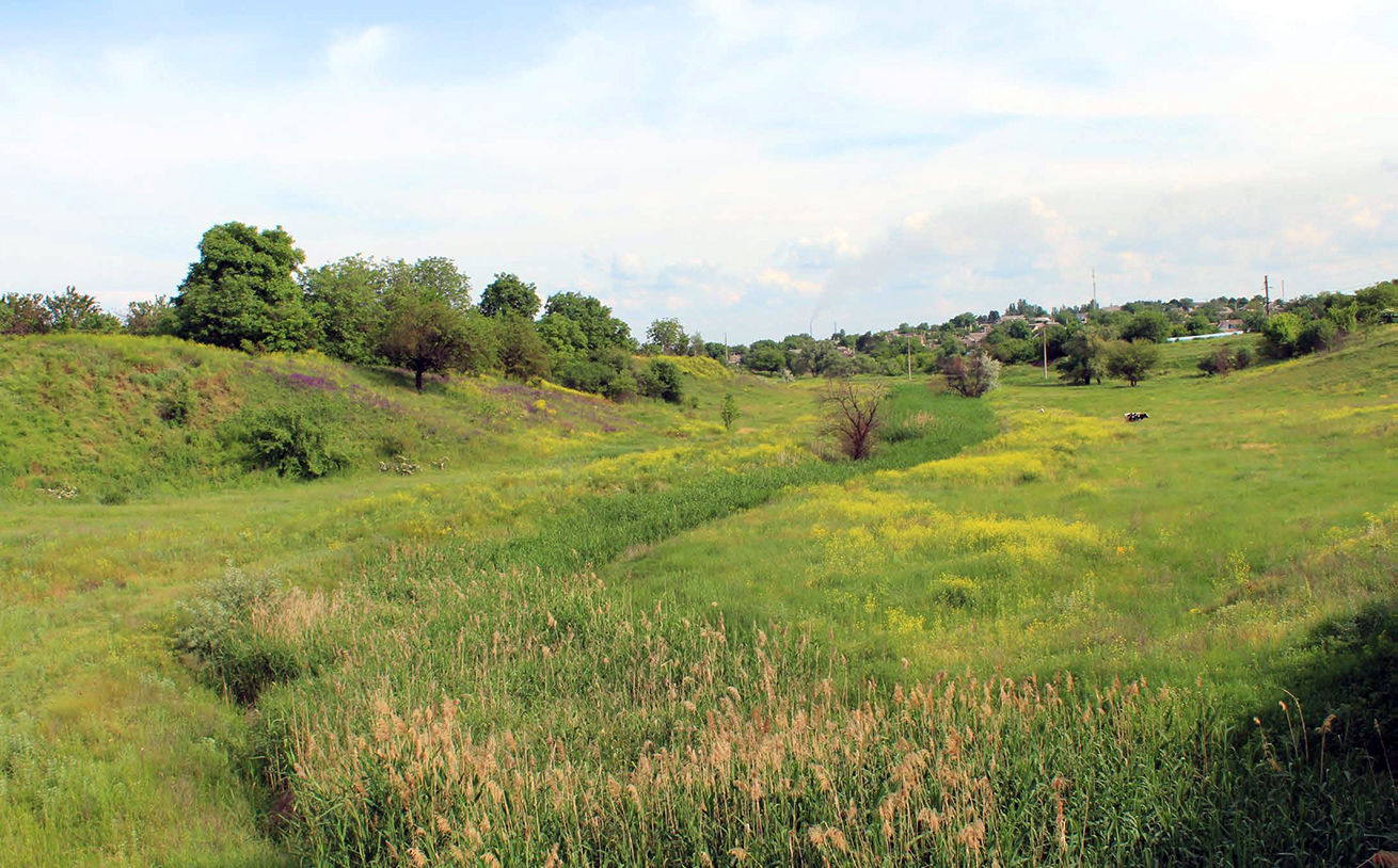 Балка Княжа. 24.5.2019 р.