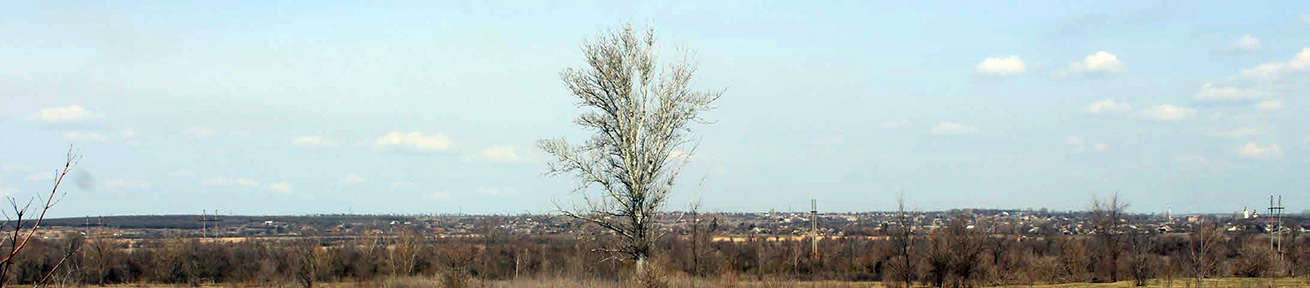Панорамний знімок острова Городище (Томаківка) з видом на одиноку тополю 2020 р.
