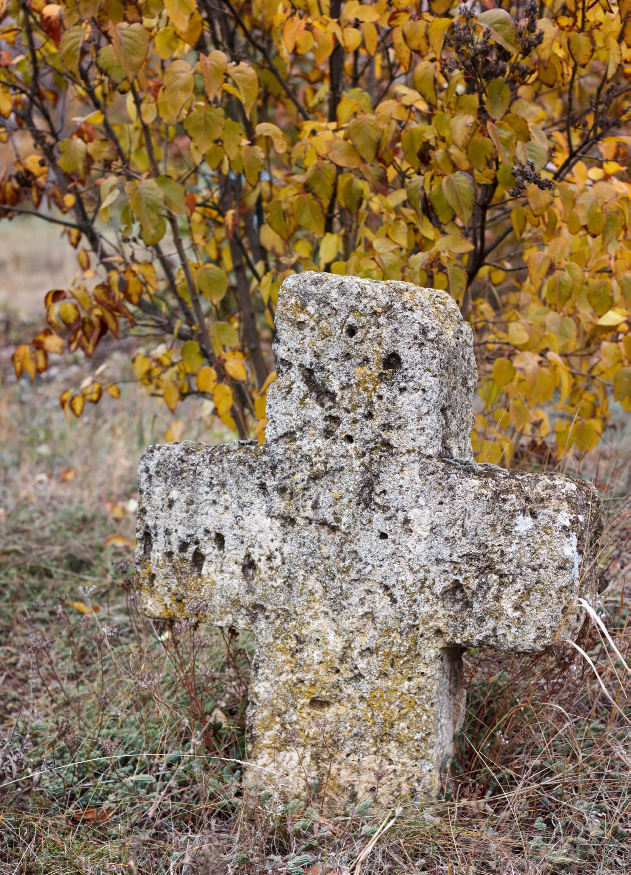 Автор фото Дарія Жданова, 21.10.2017