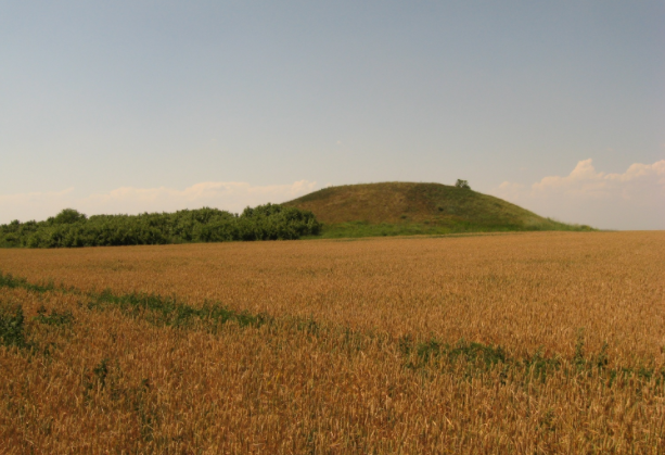 Курган Могила Чекерезка, смт. Томаківка Солонянського р-ну. Фото: http://docop.dp.ua/