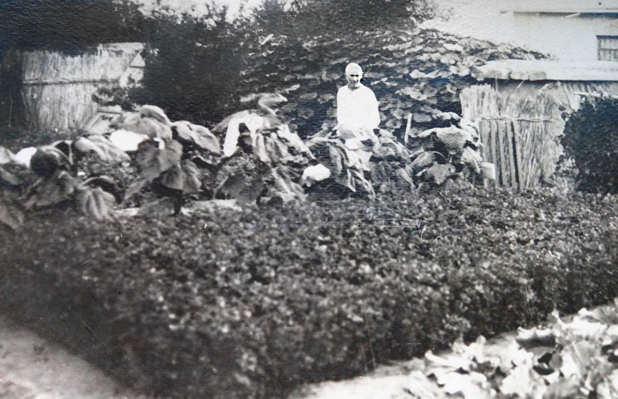 В.М. Джевінський на своїй присадибній ділянці у Челкарі. 1932. Фото з архіву З.Д. Сича.