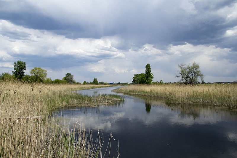 Річка Кільчень // https://uk.wikipedia.org/wiki/Файл:Кільчень_з_мальовничими_плесами.jpg