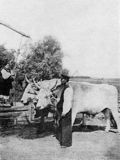 Фото з книги: Яворницький Д.І. Дніпрові пороги. Альбом фотографій.- 1928.