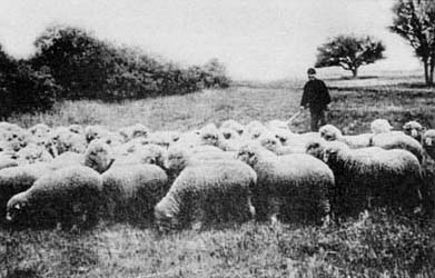 Фото з книги: Яворницький Д.І. Дніпрові пороги. Альбом фотографій.- 1928.