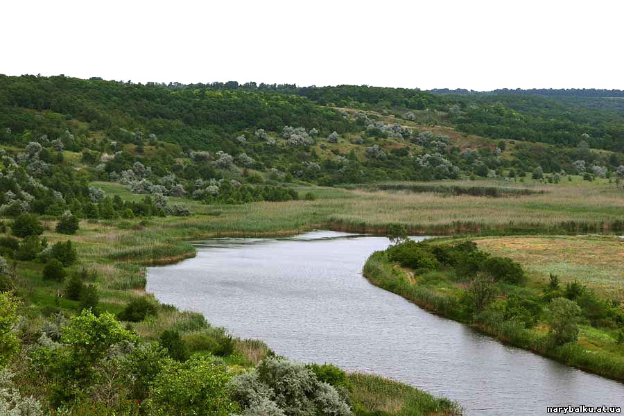 Оріль. Сучасний вид // https://rivnefish.com/places/973/oril