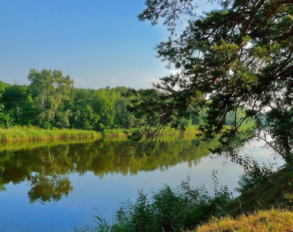 Самарський краєвид. Фото: http://prof-nvf.org/news/otdykh_ozdorovlenie_i_lechenie_rekreacionnye_resursy_dnepropetrovskoj_oblasti/2014-08-15-162