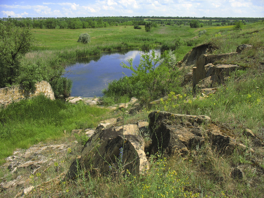 Фото: В.Манюк