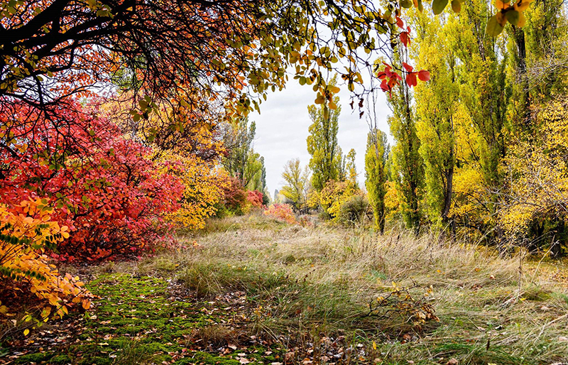 Набережна восени. Фото В. Яценка