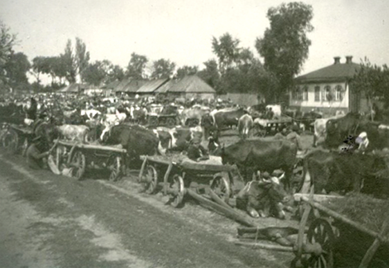 Продаж худоби на ярмарку. 1923 //https://drive.google.com/drive/folders/1NU_RU2jU14u7lWa9eNkO6exgBGZ1jq4K