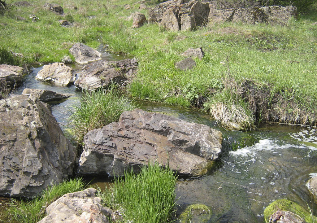 Струмок в балці Північній Червоній, квітень 2007