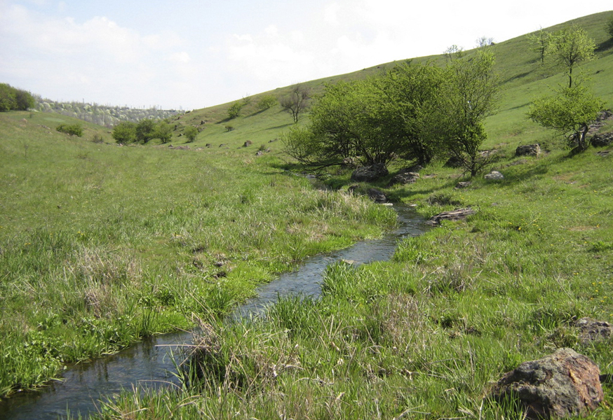 Струмок у балці Північній Червоній, квітень 2007