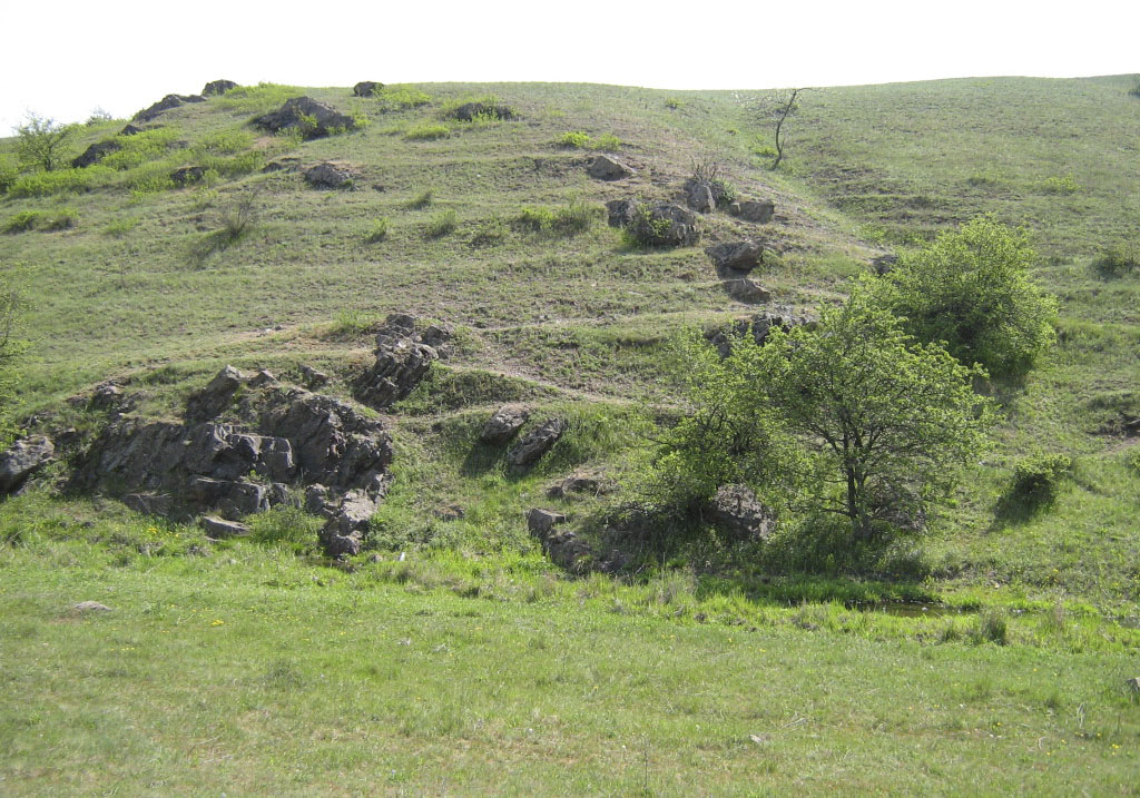 Виходи гірських порід в середній частині балки, квітень 2007