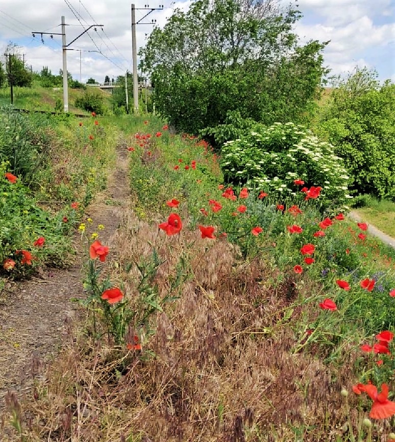 Фото авторки