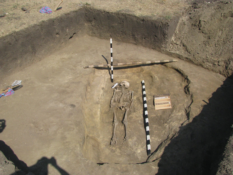 Скелет скіфа-велетня. Фото: https://visit-nikopol.com/articles/view/pressconf